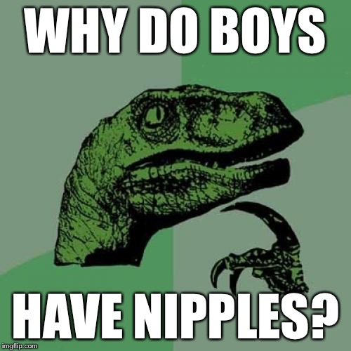 Intelligent design question | WHY DO BOYS; HAVE NIPPLES? | image tagged in memes,philosoraptor | made w/ Imgflip meme maker