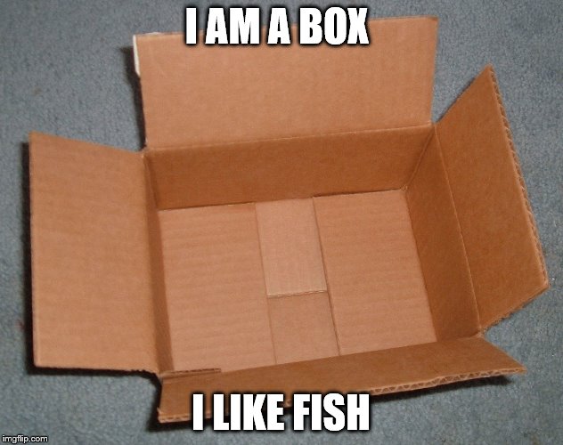 I AM A BOX; I LIKE FISH | image tagged in box2314 | made w/ Imgflip meme maker