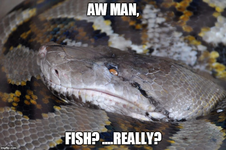 AW MAN, FISH? ....REALLY? | made w/ Imgflip meme maker