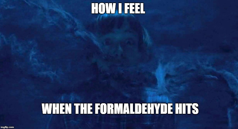 HOW I FEEL; WHEN THE FORMALDEHYDE HITS | made w/ Imgflip meme maker