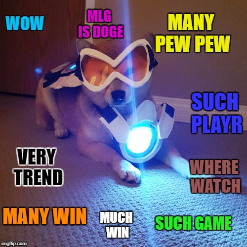 MANY PEW PEW; MLG IS DOGE; WOW; SUCH PLAYR; VERY TREND; WHERE WATCH; MANY WIN; MUCH WIN; SUCH GAME | image tagged in overdoge | made w/ Imgflip meme maker