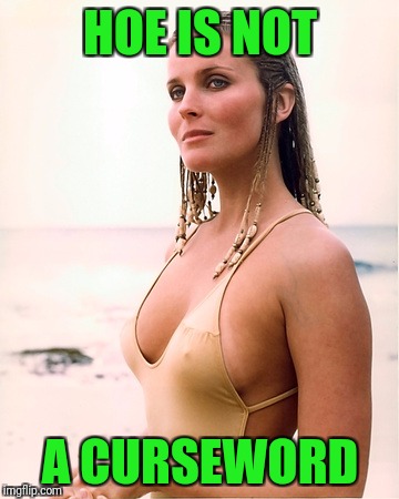 bo derek | HOE IS NOT A CURSEWORD | image tagged in bo derek | made w/ Imgflip meme maker