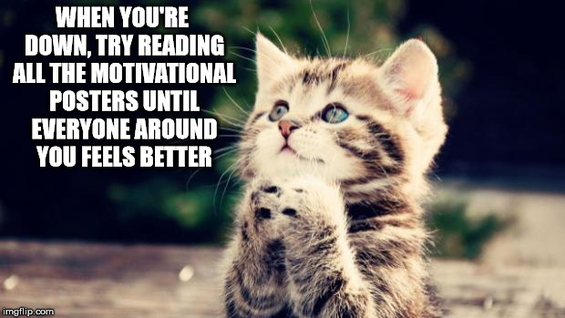 Cute kitten | WHEN YOU'RE DOWN, TRY READING ALL THE MOTIVATIONAL POSTERS UNTIL EVERYONE AROUND YOU FEELS BETTER | image tagged in cute kitten | made w/ Imgflip meme maker