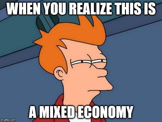 Futurama Fry Meme | WHEN YOU REALIZE THIS IS; A MIXED ECONOMY | image tagged in memes,futurama fry | made w/ Imgflip meme maker