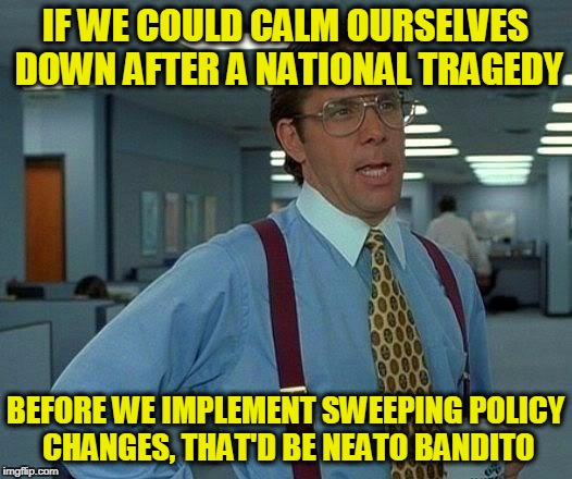 That Would Be Great | IF WE COULD CALM OURSELVES DOWN AFTER A NATIONAL TRAGEDY; BEFORE WE IMPLEMENT SWEEPING POLICY CHANGES, THAT'D BE NEATO BANDITO | image tagged in memes,that would be great | made w/ Imgflip meme maker