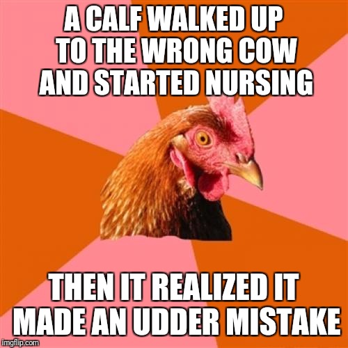 Anti Joke Chicken | A CALF WALKED UP TO THE WRONG COW AND STARTED NURSING; THEN IT REALIZED IT MADE AN UDDER MISTAKE | image tagged in memes,anti joke chicken | made w/ Imgflip meme maker