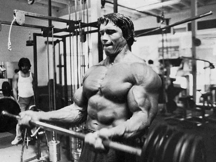 Arnold Biceps Curl Blank Meme Template