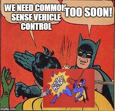 Common sense | WE NEED COMMON SENSE VEHICLE CONTROL; TOO SOON! | image tagged in memes,batman slapping robin | made w/ Imgflip meme maker