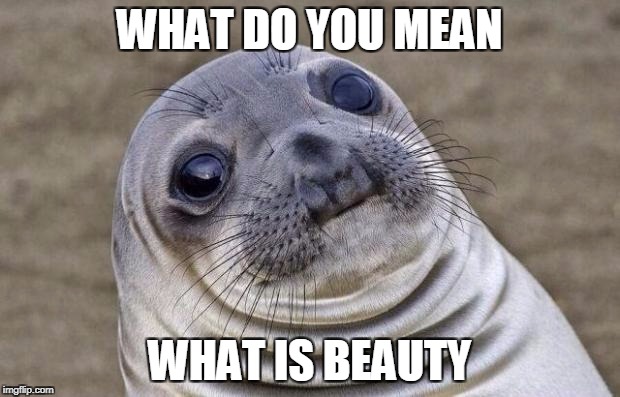 Awkward Moment Sealion | WHAT DO YOU MEAN; WHAT IS BEAUTY | image tagged in memes,awkward moment sealion | made w/ Imgflip meme maker