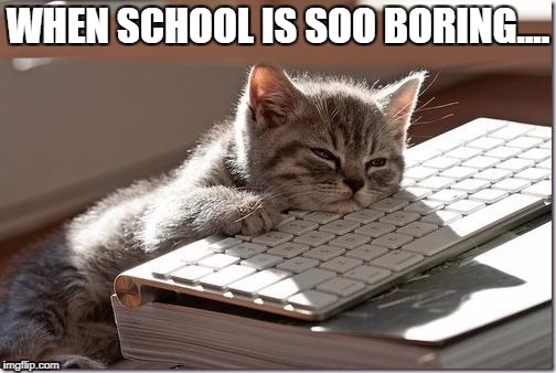 Bored Keyboard Cat | WHEN SCHOOL IS SOO BORING.... | image tagged in bored keyboard cat | made w/ Imgflip meme maker