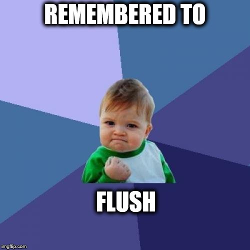 Success Kid Meme | REMEMBERED TO; FLUSH | image tagged in memes,success kid | made w/ Imgflip meme maker