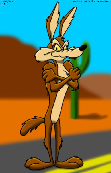 Wile E Coyote Blank Meme Template