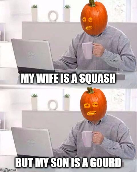 Hide The Pain Pumpkin | MY WIFE IS A SQUASH; BUT MY SON IS A GOURD | image tagged in hide the pain pumpkin,pumpkin,pumpkin spice,pumpkin pie,smashing pumpkins,bad luck pumpkin | made w/ Imgflip meme maker