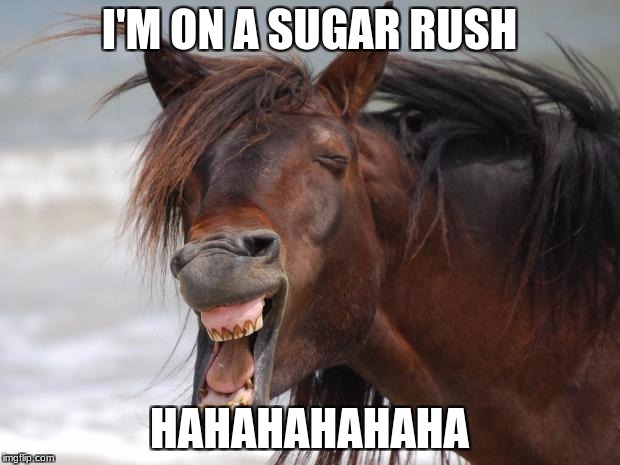  I'M ON A SUGAR RUSH; HAHAHAHAHAHA | image tagged in hilarious horse | made w/ Imgflip meme maker