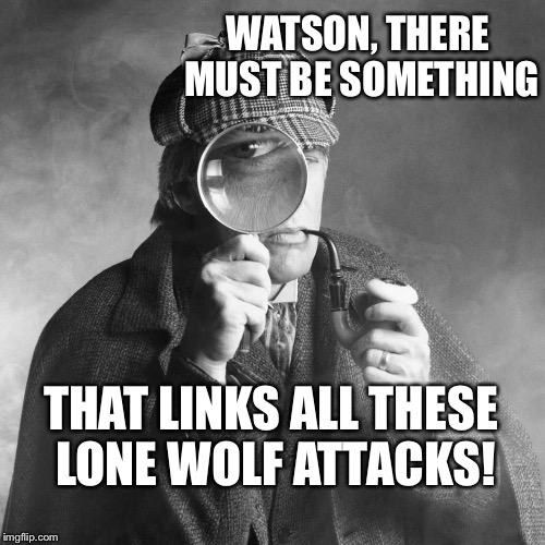 WATSON, THERE MUST BE SOMETHING; THAT LINKS ALL THESE LONE WOLF ATTACKS! | image tagged in sherlock holms,sherlock holmes,no shit sherlock,lone wolf,attack | made w/ Imgflip meme maker