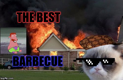 Burn Kitty Meme | THE BEST; BARBECUE | image tagged in memes,burn kitty,grumpy cat,scumbag | made w/ Imgflip meme maker