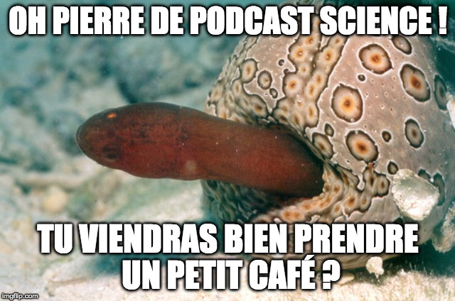 OH PIERRE DE PODCAST SCIENCE ! TU VIENDRAS BIEN PRENDRE UN PETIT CAFÉ ? | made w/ Imgflip meme maker