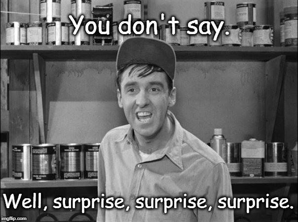 Surprise, Surprise, Surprise | You don't say. Well, surprise, surprise, surprise. | image tagged in surprise,gomer pyle | made w/ Imgflip meme maker