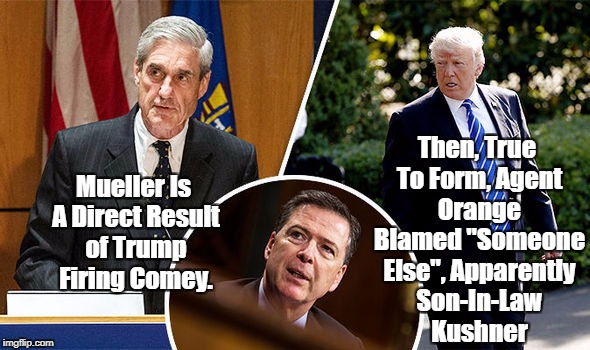 Mueller Is A Direct Result of Trump Firing Comey. Then, True To Form, Agent Orange Blamed "Someone Else", Apparently Son-In-Law Kushner | made w/ Imgflip meme maker