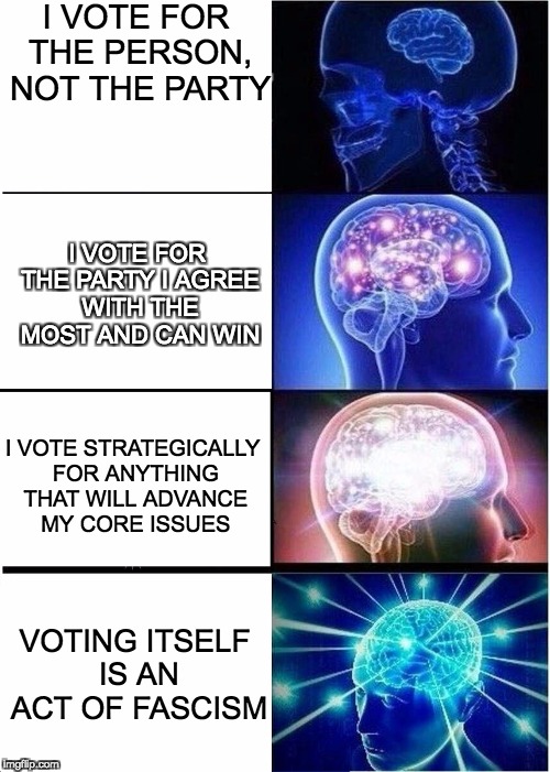 Expanding Brain | I VOTE FOR THE PERSON, NOT THE PARTY; I VOTE FOR THE PARTY I AGREE WITH THE MOST AND CAN WIN; I VOTE STRATEGICALLY FOR ANYTHING THAT WILL ADVANCE MY CORE ISSUES; VOTING ITSELF IS AN ACT OF FASCISM | image tagged in expanding brain | made w/ Imgflip meme maker