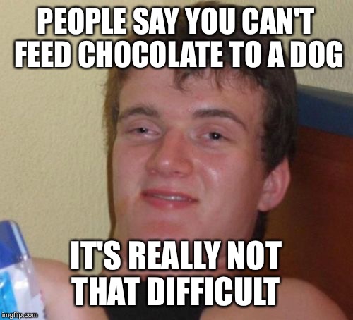 10 Guy | PEOPLE SAY YOU CAN'T FEED CHOCOLATE TO A DOG; IT'S REALLY NOT THAT DIFFICULT | image tagged in memes,10 guy | made w/ Imgflip meme maker