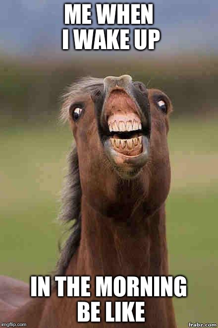horse face | ME WHEN I WAKE UP; IN THE MORNING BE LIKE | image tagged in horse face | made w/ Imgflip meme maker