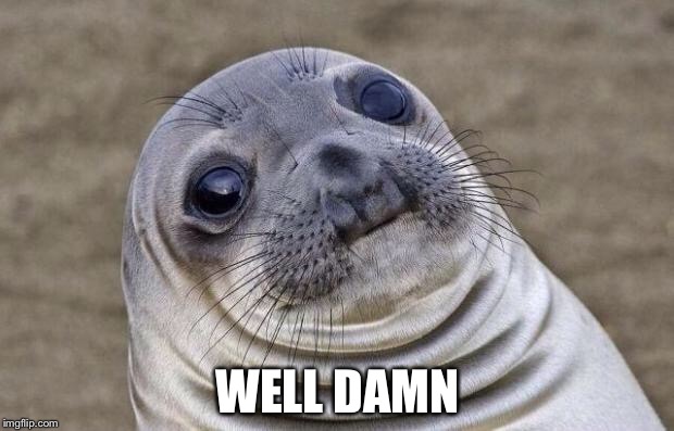 WELL DAMN | image tagged in memes,awkward moment sealion | made w/ Imgflip meme maker
