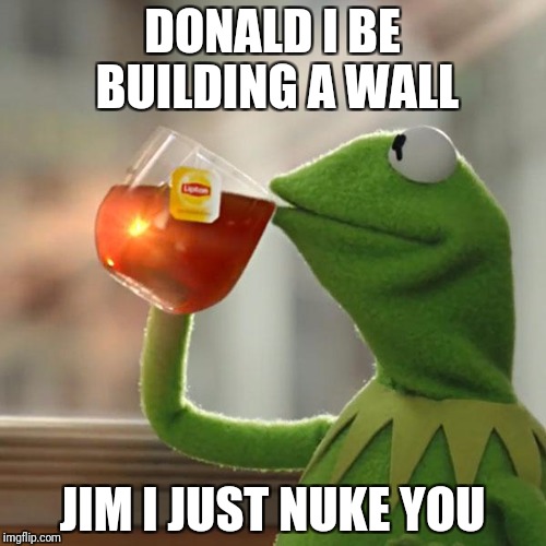 But That's None Of My Business Meme | DONALD I BE BUILDING A WALL; JIM I JUST NUKE YOU | image tagged in memes,but thats none of my business,kermit the frog | made w/ Imgflip meme maker