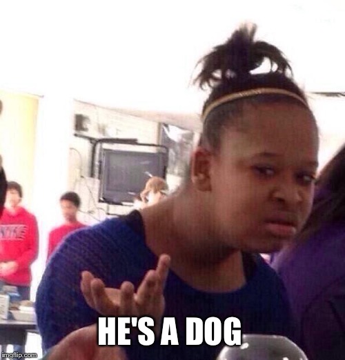 Black Girl Wat Meme | HE'S A DOG | image tagged in memes,black girl wat | made w/ Imgflip meme maker