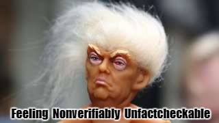 Feeling  Nonverifiably  Unfactcheckable | image tagged in trump hair cool | made w/ Imgflip meme maker