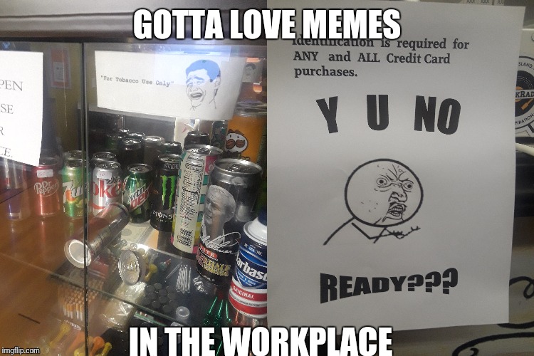 Memes in the workplace | GOTTA LOVE MEMES; IN THE WORKPLACE | image tagged in work,memes,y u no | made w/ Imgflip meme maker