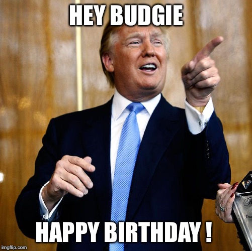 Donal Trump Birthday | HEY BUDGIE; HAPPY BIRTHDAY ! | image tagged in donal trump birthday | made w/ Imgflip meme maker