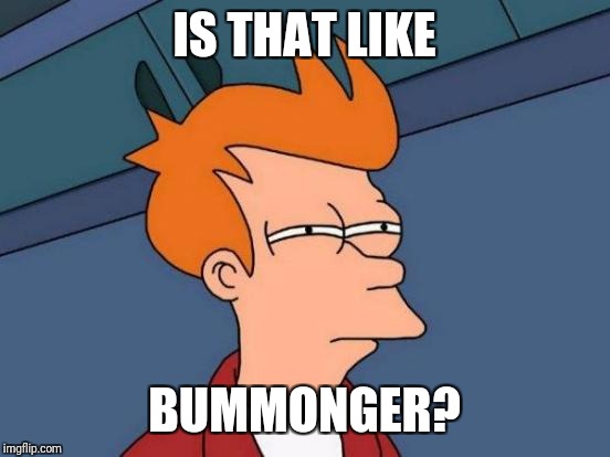 Futurama Fry Meme | IS THAT LIKE BUMMONGER? | image tagged in memes,futurama fry | made w/ Imgflip meme maker