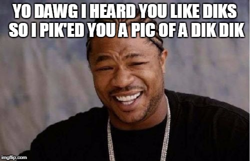 Yo Dawg Heard You Meme | YO DAWG I HEARD YOU LIKE DIKS SO I PIK'ED YOU A PIC OF A DIK DIK | image tagged in memes,yo dawg heard you | made w/ Imgflip meme maker