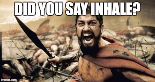 Sparta Leonidas Meme | DID YOU SAY INHALE? | image tagged in memes,sparta leonidas | made w/ Imgflip meme maker