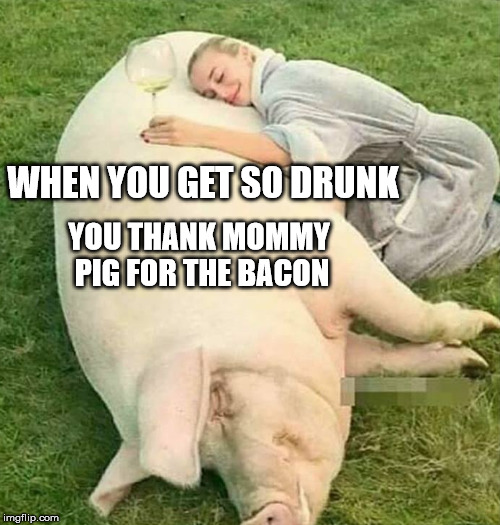 The Cure To A Hang Over | WHEN YOU GET SO DRUNK; YOU THANK MOMMY PIG FOR THE BACON | image tagged in memes,drunk,bacon,pig,animals | made w/ Imgflip meme maker