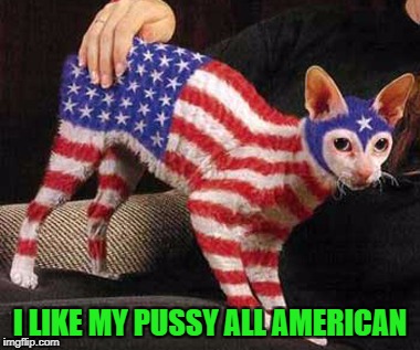 I LIKE MY PUSSY ALL AMERICAN | made w/ Imgflip meme maker