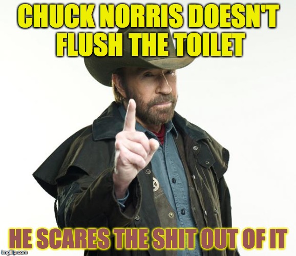 He'd be pretty handy at a sewage plant. | CHUCK NORRIS DOESN'T FLUSH THE TOILET; HE SCARES THE SHIT OUT OF IT | image tagged in memes,chuck norris finger,chuck norris,shit,funny | made w/ Imgflip meme maker