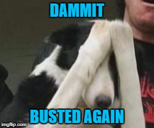 DAMMIT BUSTED AGAIN | made w/ Imgflip meme maker