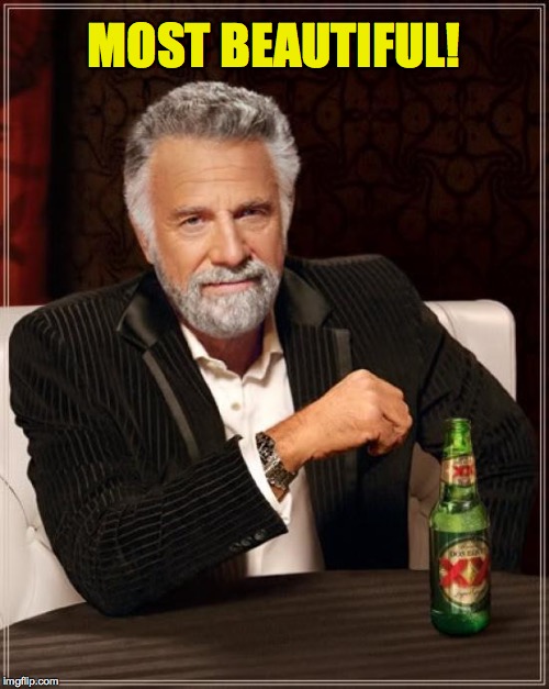 The Most Interesting Man In The World Meme | MOST BEAUTIFUL! | image tagged in memes,the most interesting man in the world | made w/ Imgflip meme maker