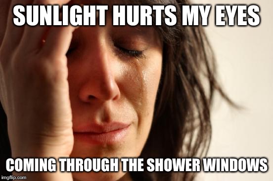 First World Problems Meme | SUNLIGHT HURTS MY EYES; COMING THROUGH THE SHOWER WINDOWS | image tagged in memes,first world problems,AdviceAnimals | made w/ Imgflip meme maker