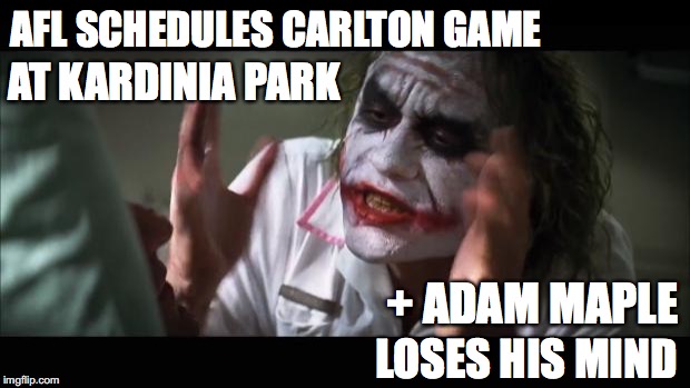 AFL Carlton Game at Kardinia Park | AFL SCHEDULES CARLTON GAME; AT KARDINIA PARK; + ADAM MAPLE; LOSES HIS MIND | image tagged in memes,and everybody loses their minds,afl,carlton blues,geelong cats | made w/ Imgflip meme maker