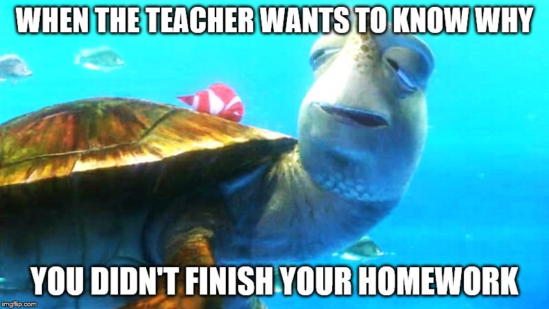 crush finding nemo | WHEN THE TEACHER WANTS TO KNOW WHY; YOU DIDN'T FINISH YOUR HOMEWORK | image tagged in crush finding nemo | made w/ Imgflip meme maker