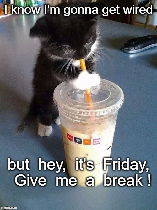 Thirsty kitten | I know I'm gonna get wired; but  hey,  it's  Friday,  Give  me  a  break ! | image tagged in thirsty kitten | made w/ Imgflip meme maker