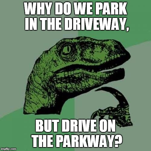 Philosoraptor | WHY DO WE PARK IN THE DRIVEWAY, BUT DRIVE ON THE PARKWAY? | image tagged in memes,philosoraptor | made w/ Imgflip meme maker