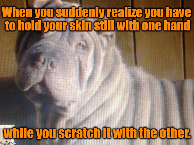 When Did THAT Happen? | When you suddenly realize you have to hold your skin still with one hand; while you scratch it with the other. | image tagged in old,scratch,itch | made w/ Imgflip meme maker