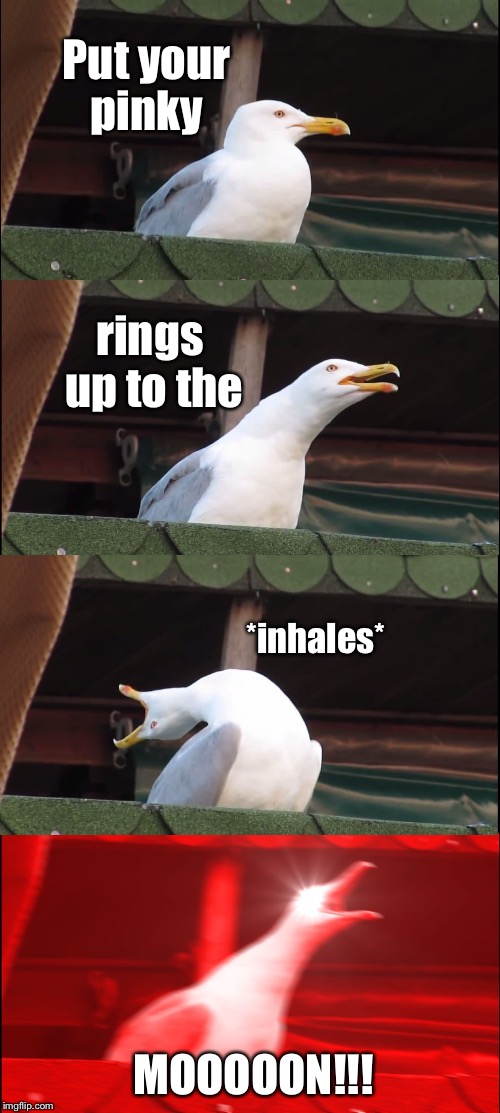 Inhaling Seagull | Put your pinky; rings up to the; *inhales*; MOOOOON!!! | image tagged in inhaling seagull | made w/ Imgflip meme maker