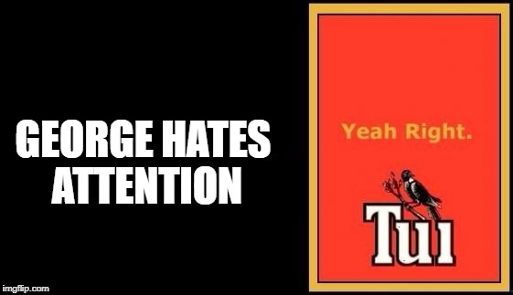 Tui | GEORGE HATES ATTENTION | image tagged in tui | made w/ Imgflip meme maker