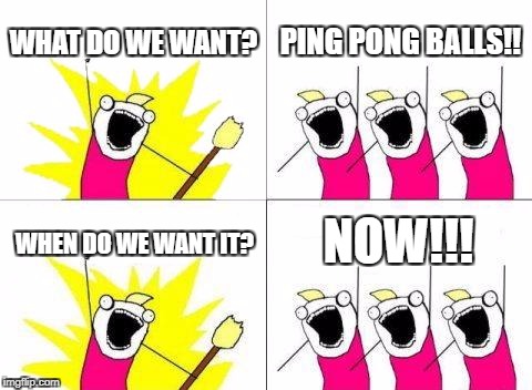 What Do We Want Meme | WHAT DO WE WANT? PING PONG BALLS!! NOW!!! WHEN DO WE WANT IT? | image tagged in memes,what do we want | made w/ Imgflip meme maker