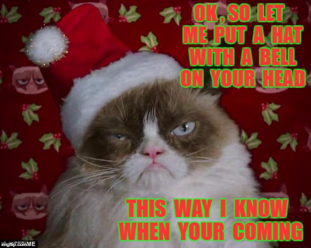 Grumpy Cat Christmas | OK , SO  LET  ME  PUT  A  HAT  WITH  A  BELL  ON  YOUR  HEAD; THIS  WAY  I  KNOW  WHEN  YOUR  COMING | image tagged in grumpy cat christmas | made w/ Imgflip meme maker